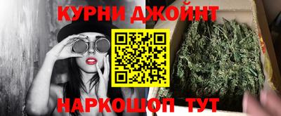 jwh Новозыбков