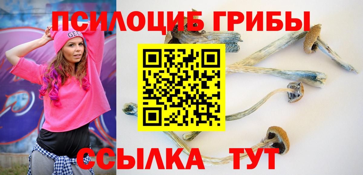 наркошоп  Галлюциногенные грибы Psilocybine cubensis  Вход с VPN  Урус-Мартан 