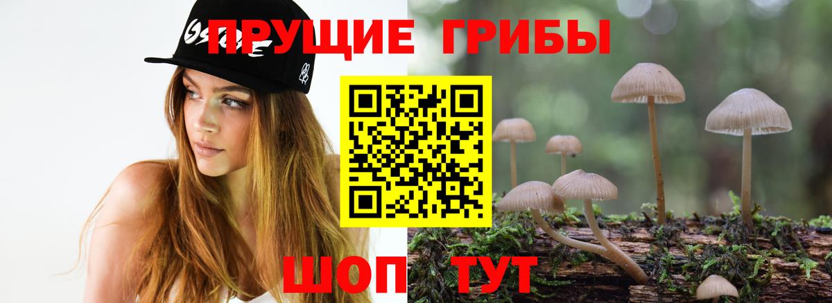 Псилоцибиновые грибы прущие грибы Урус-Мартан